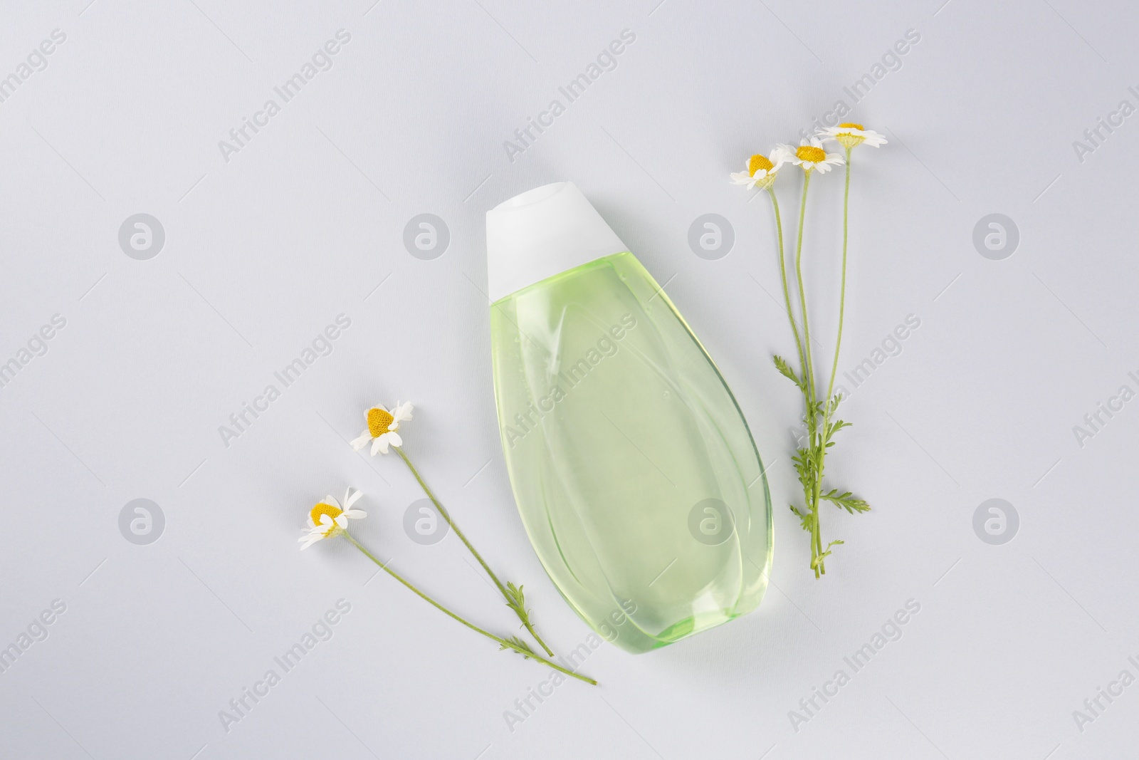 Photo of Bottle with baby oil and chamomile flowers on light grey background, flat lay. Space for text