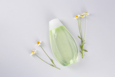 Bottle with baby oil and chamomile flowers on light grey background, flat lay. Space for text