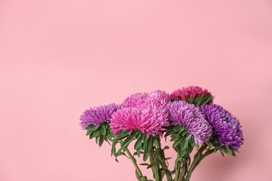 Photo of Beautiful flowers and space for text on color background. Element of interior design