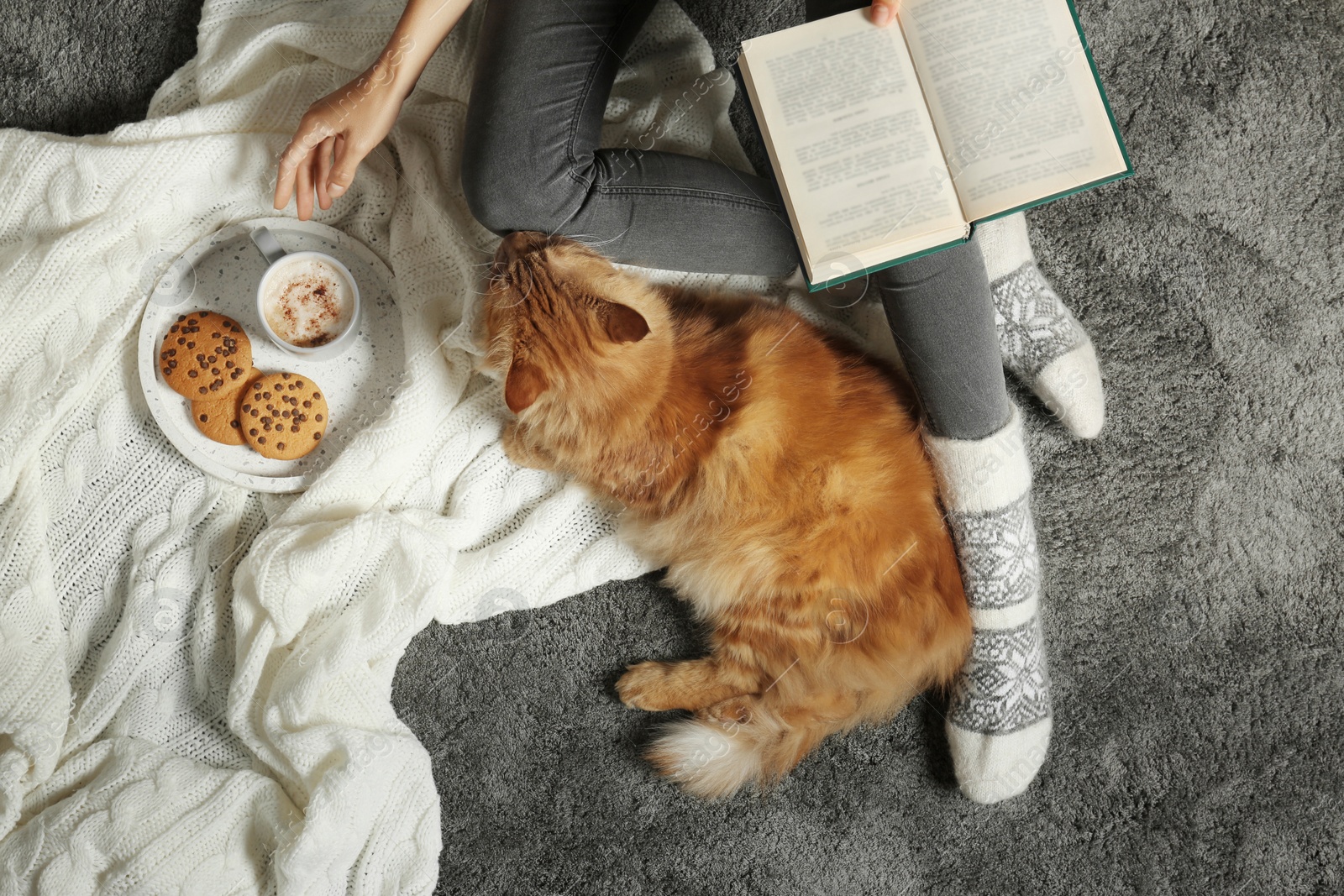 Photo of Woman with cute red cat and book on grey carpet, top view