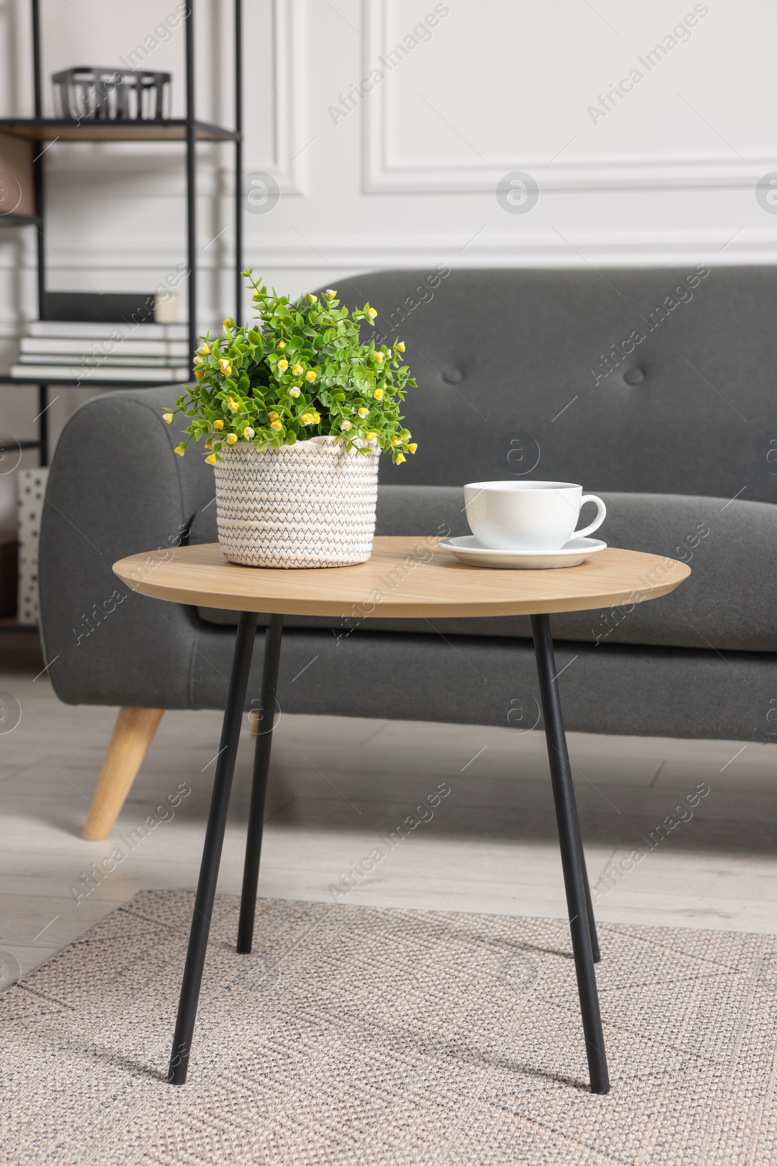 Photo of Potted artificial plant and cup of drink on coffee table near sofa indoors