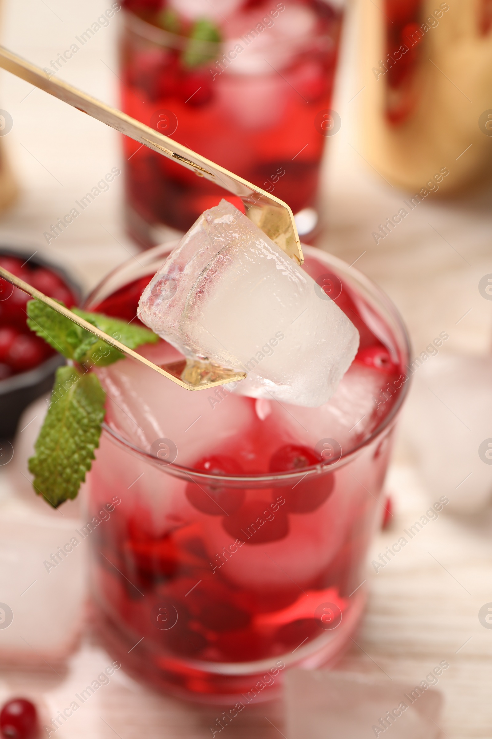 Photo of Putting ice cube into glass with tasty cranberry cocktail at light table, closeup