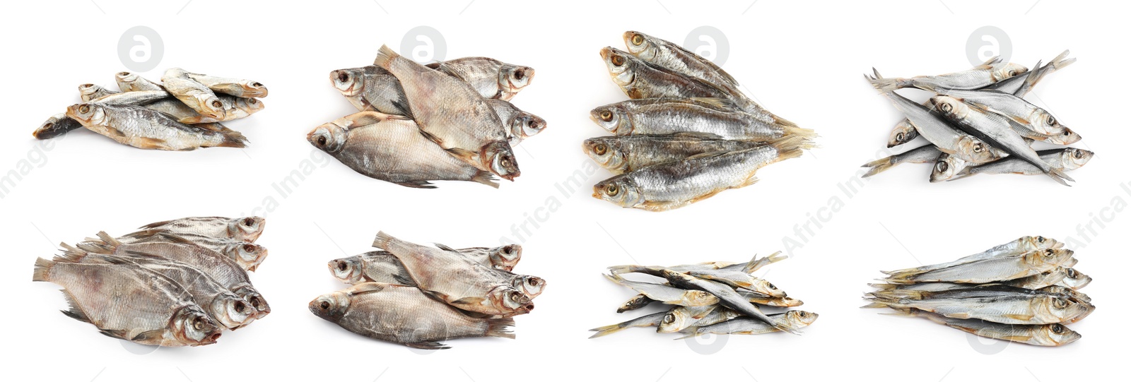 Image of Set of tasty dry fish on white background