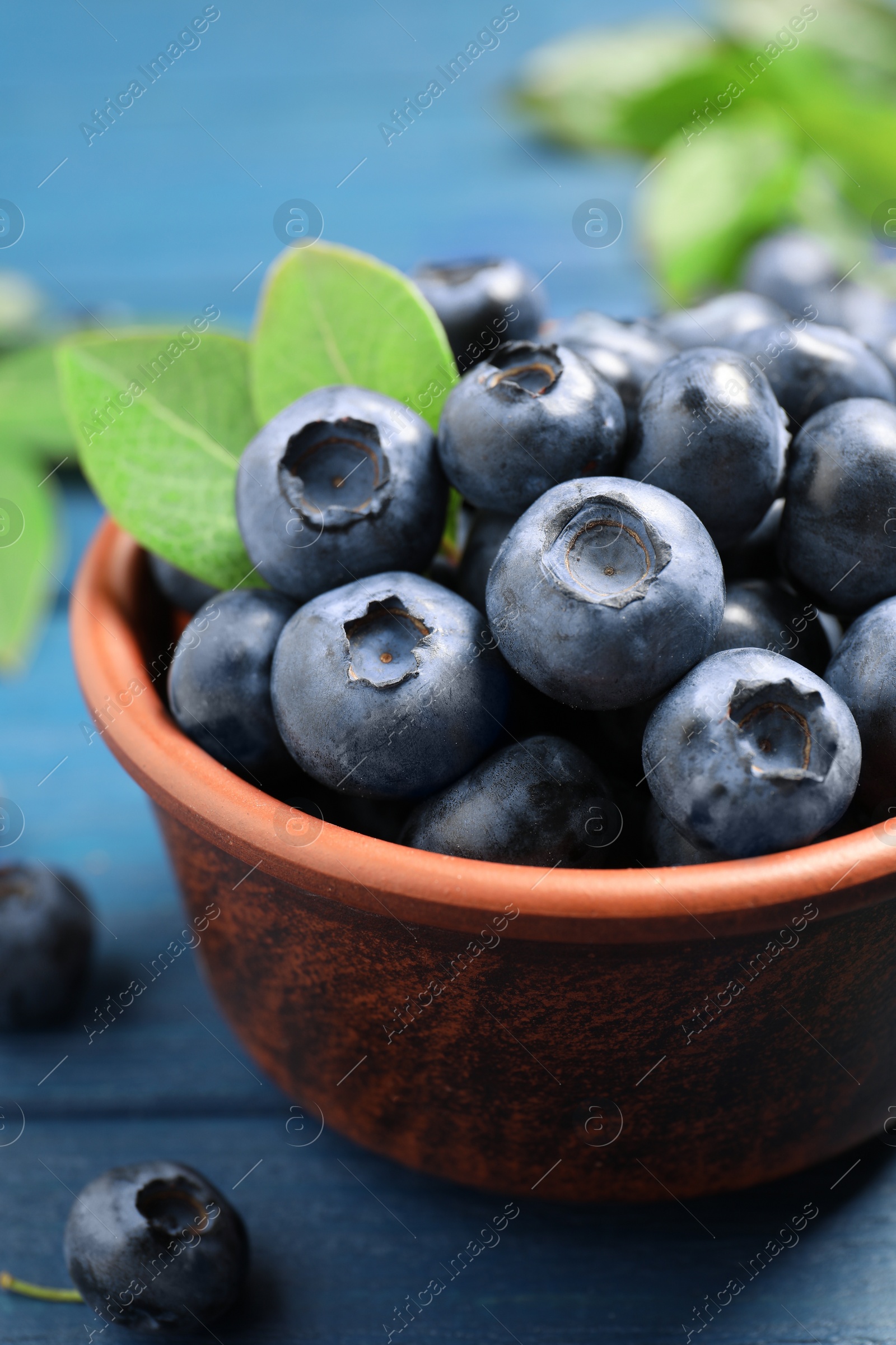 Photo of Tasty fresh blueberries with leaves in bowl on blue wooden table, closeup