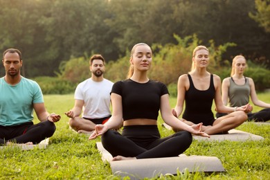 Photo of Group of people practicing yoga on mats outdoors. Lotus pose