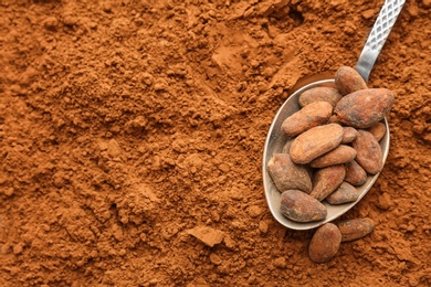 Spoon with beans on cocoa powder