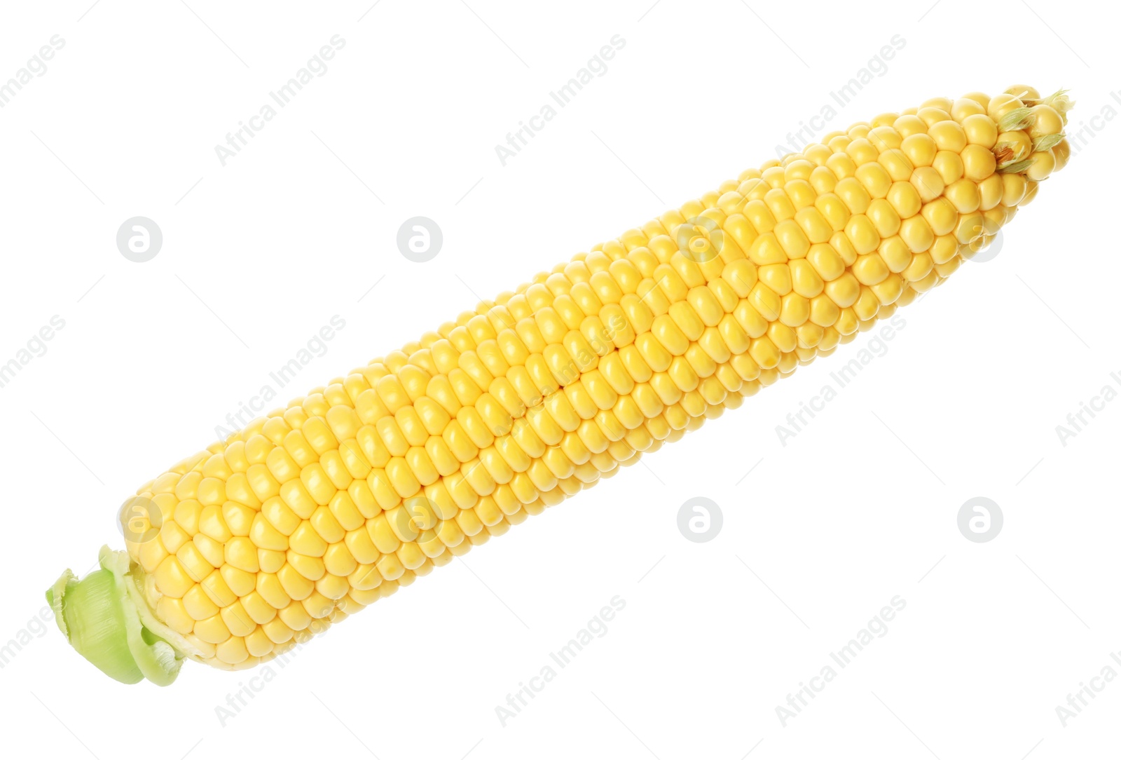 Photo of Ripe raw corn cob isolated on white