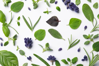 Photo of Many different aromatic herbs on white background, flat lay