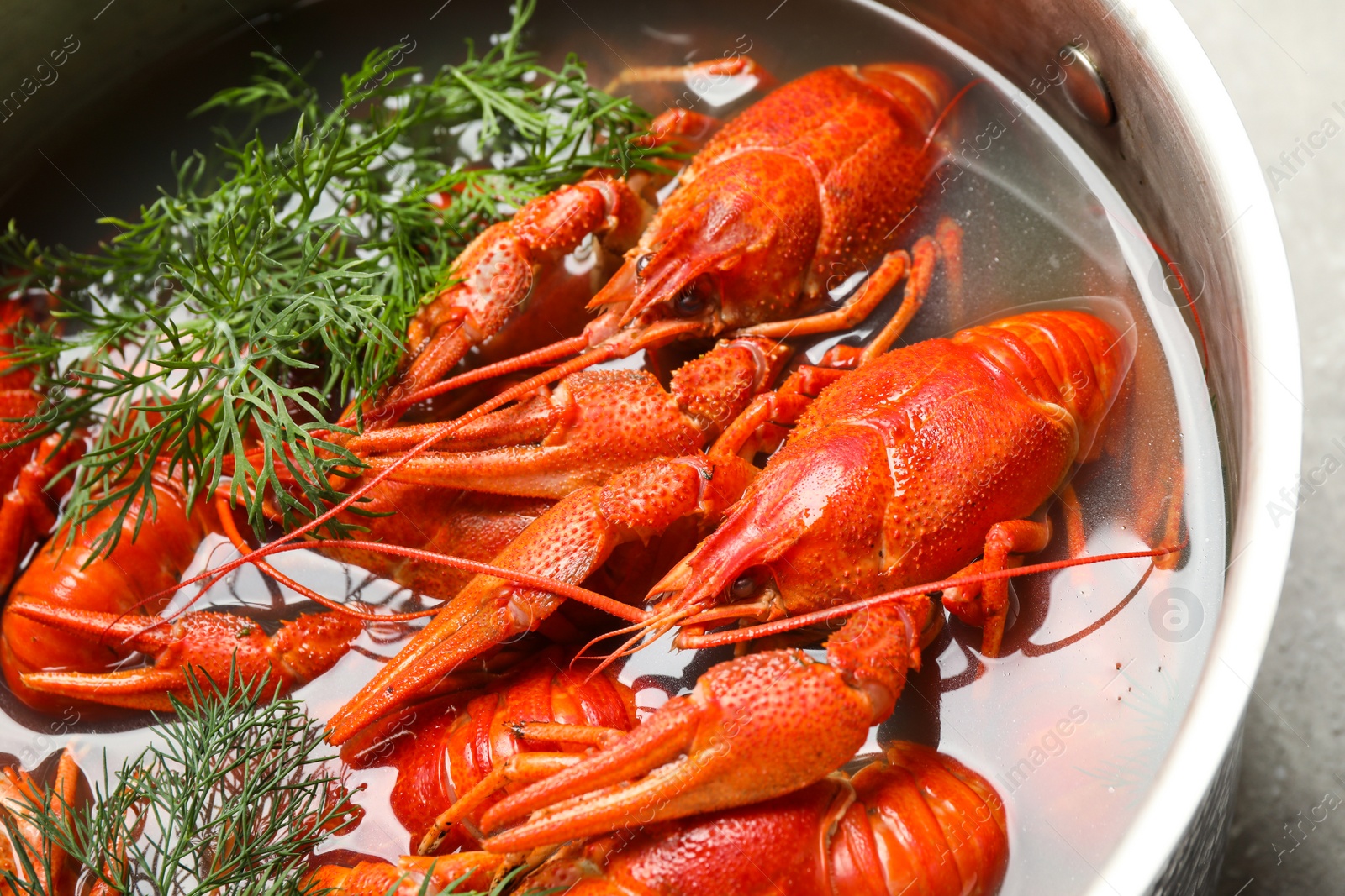 Photo of Fresh delicious crayfishes in pot on table, closeup