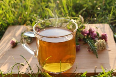 Photo of Cup of aromatic herbal tea and different wildflowers on wooden board in meadow