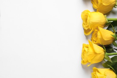 Beautiful yellow roses on white background, flat lay. Space for text