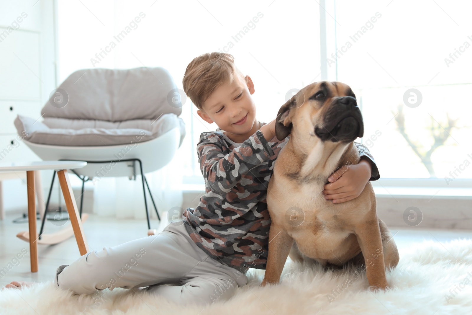 Photo of Cute little child with his dog at home