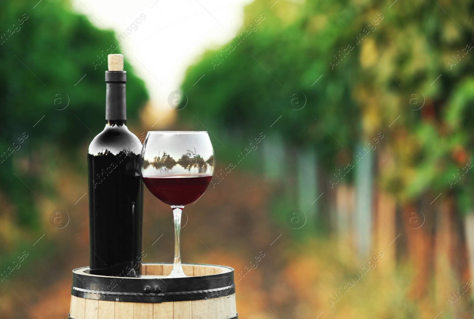 Photo of Bottle and glass of red wine on wooden barrel in vineyard