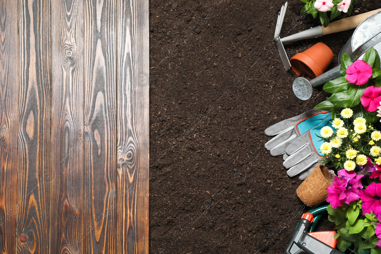 Photo of Flat lay composition with gardening tools and flowers on soil, space for text