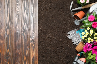 Photo of Flat lay composition with gardening tools and flowers on soil, space for text