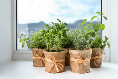 Photo of Different fresh potted herbs on windowsill indoors