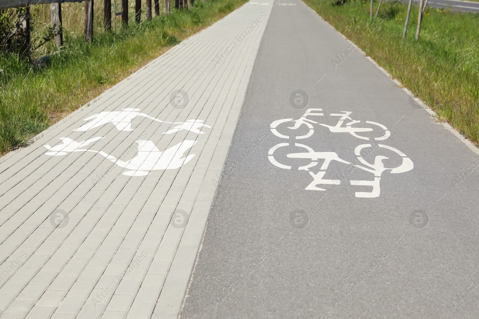 Photo of Bicycle lane with white sign painted on asphalt near sidewalk