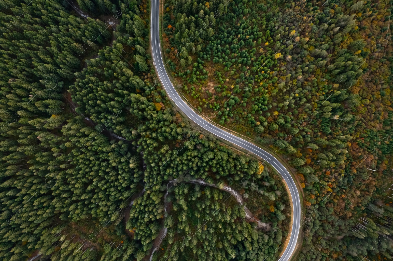 Image of Aerial view of beautiful forest and empty road on autumn day