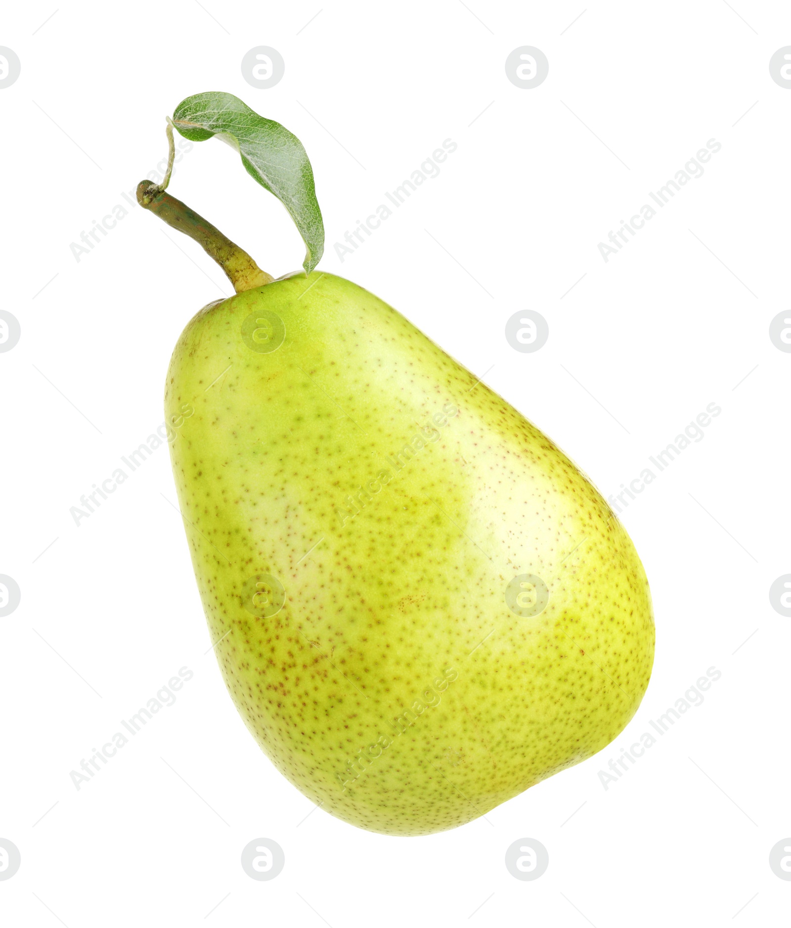 Photo of One ripe pear with leaf on white background