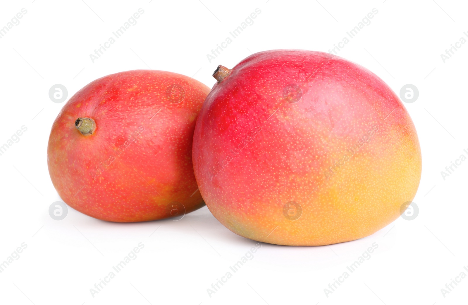 Photo of Delicious ripe juicy mangoes on white background