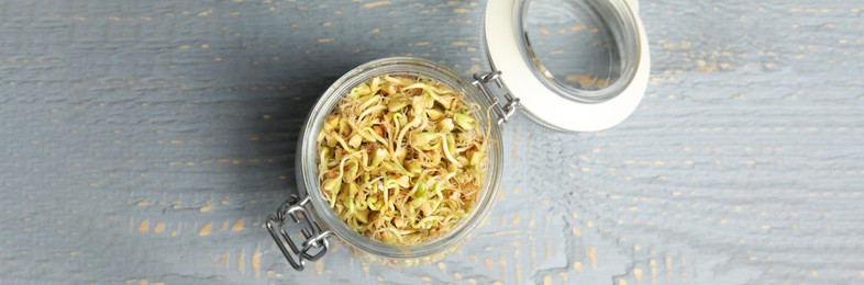 Image of Glass jar with sprouted green buckwheat on grey wooden table, top view. Banner design