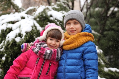 Happy children near fir tree covered with snow on winter day