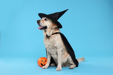 Photo of Cute Labrador Retriever dog in black cloak and hat with Halloween bucket on light blue background