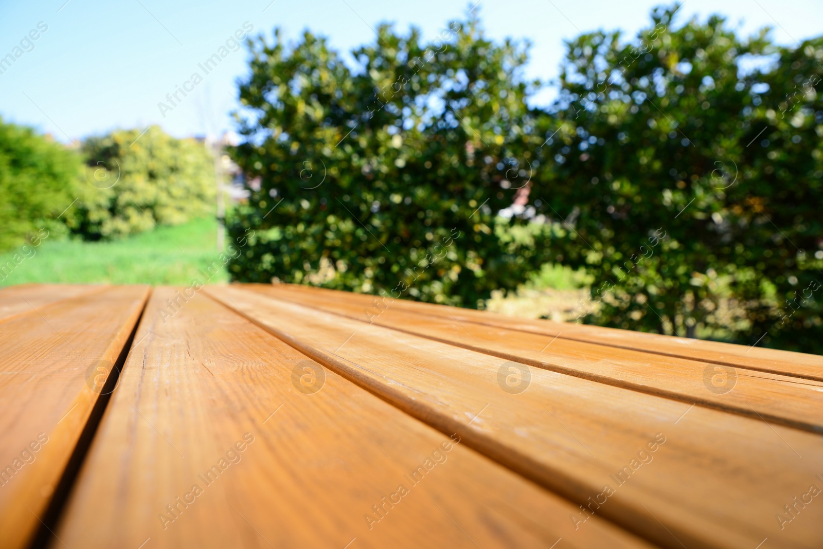 Photo of Empty wooden picnic table in park on sunny day, closeup