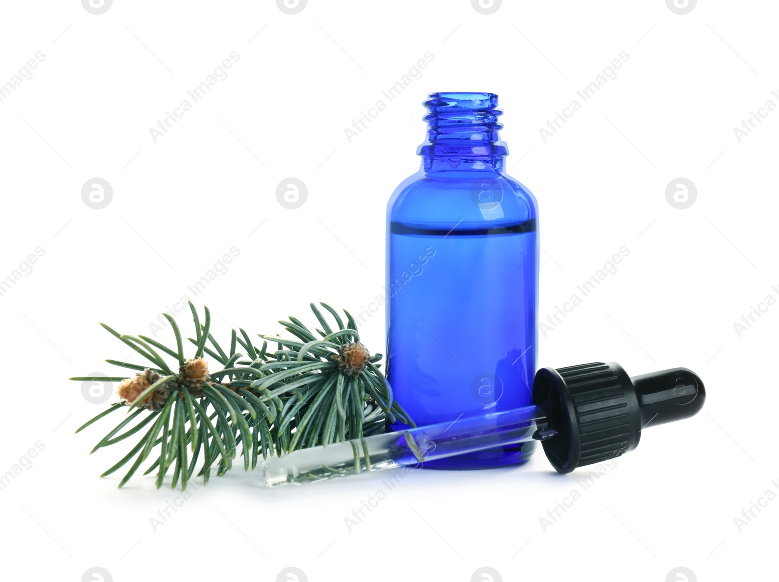 Photo of Bottle of essential oil, pipette and pine branch isolated on white