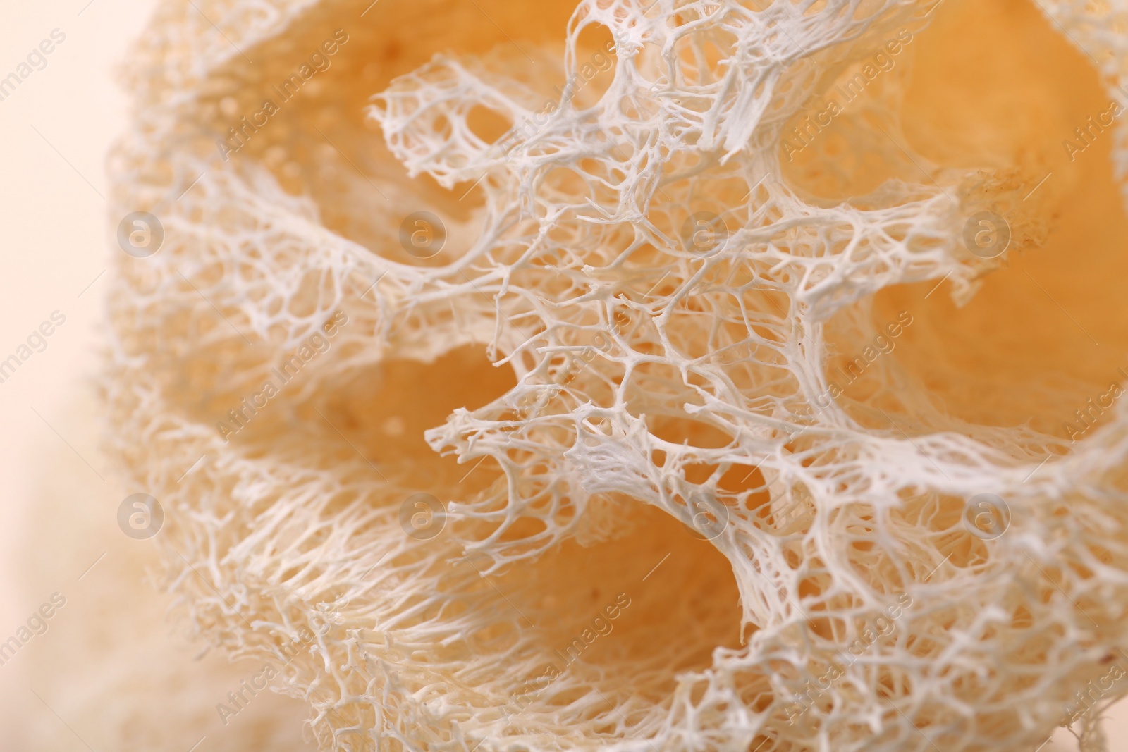 Photo of Natural loofah sponge as background, closeup view