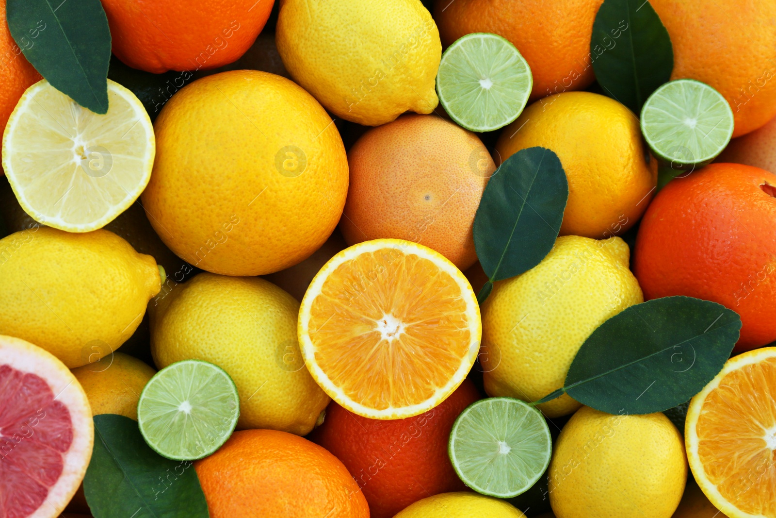 Photo of Many different whole and cut citrus fruits as background, top view