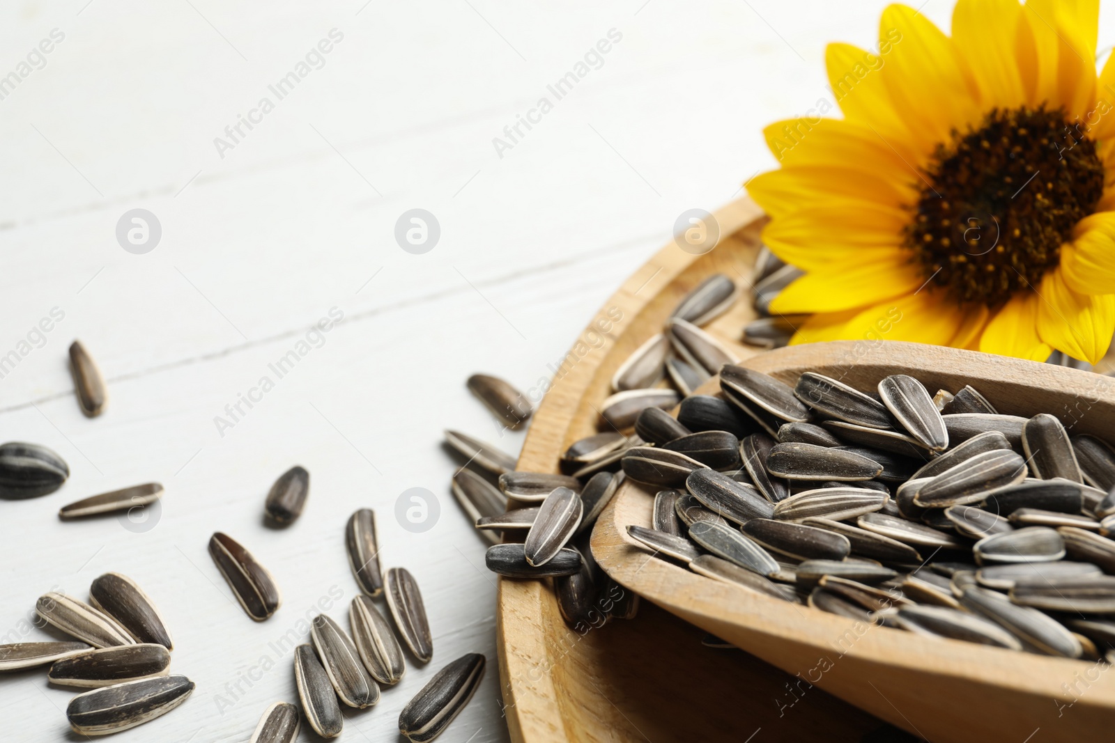 Photo of Raw sunflower seeds and flower on white wooden table, closeup. Space for text