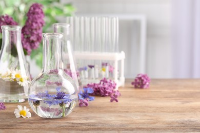 Photo of Flask with cornflowers on wooden table, space for text. Essential oil extraction