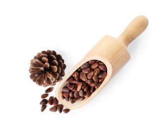 Scoop with pine nuts and cone on white background, top view