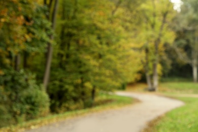 Blurred view of beautiful park with trees on autumn day