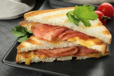 Tasty sandwiches with ham, parsley and melted cheese on grey textured table, closeup