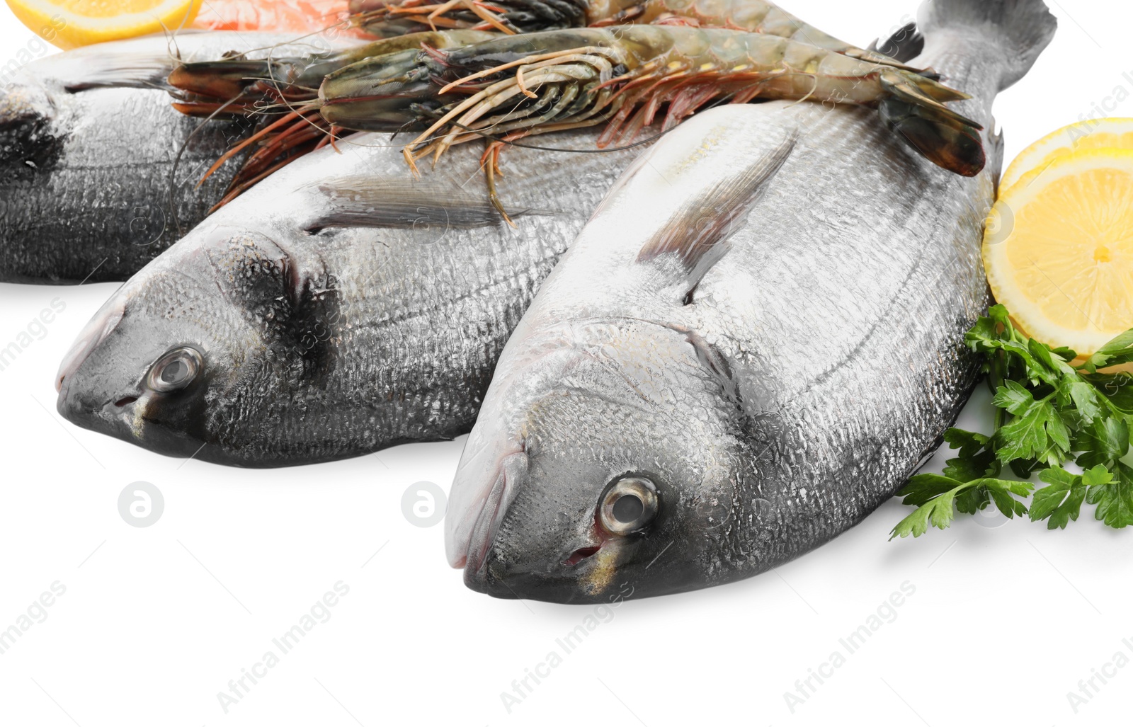 Photo of Fresh dorado fish and shrimps on white background, closeup