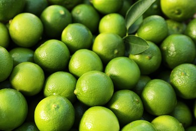 Photo of Fresh ripe green limes with leaves as background, closeup