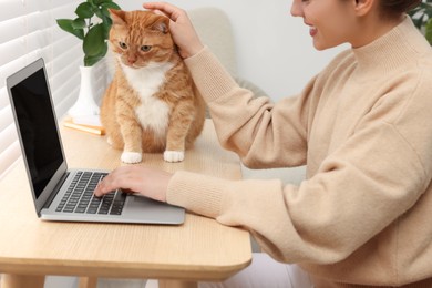 Photo of Woman working with laptop and petting cute cat at home, closeup