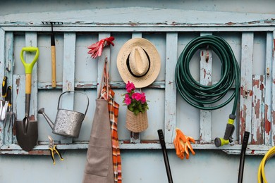 Photo of Beautiful plant, gardening tools and accessories on shed wall