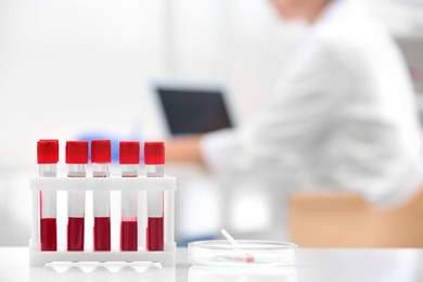 Test tubes with blood samples and scientist working on computer in laboratory