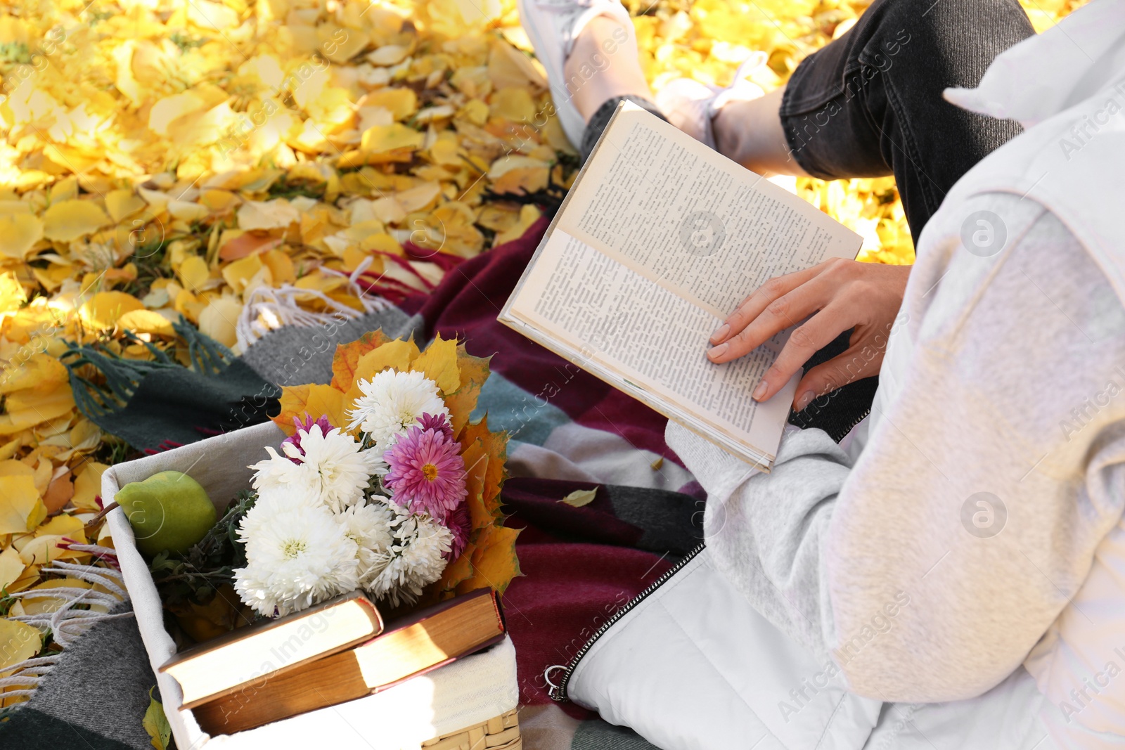 Photo of Woman reading book outdoors on autumn day, closeup