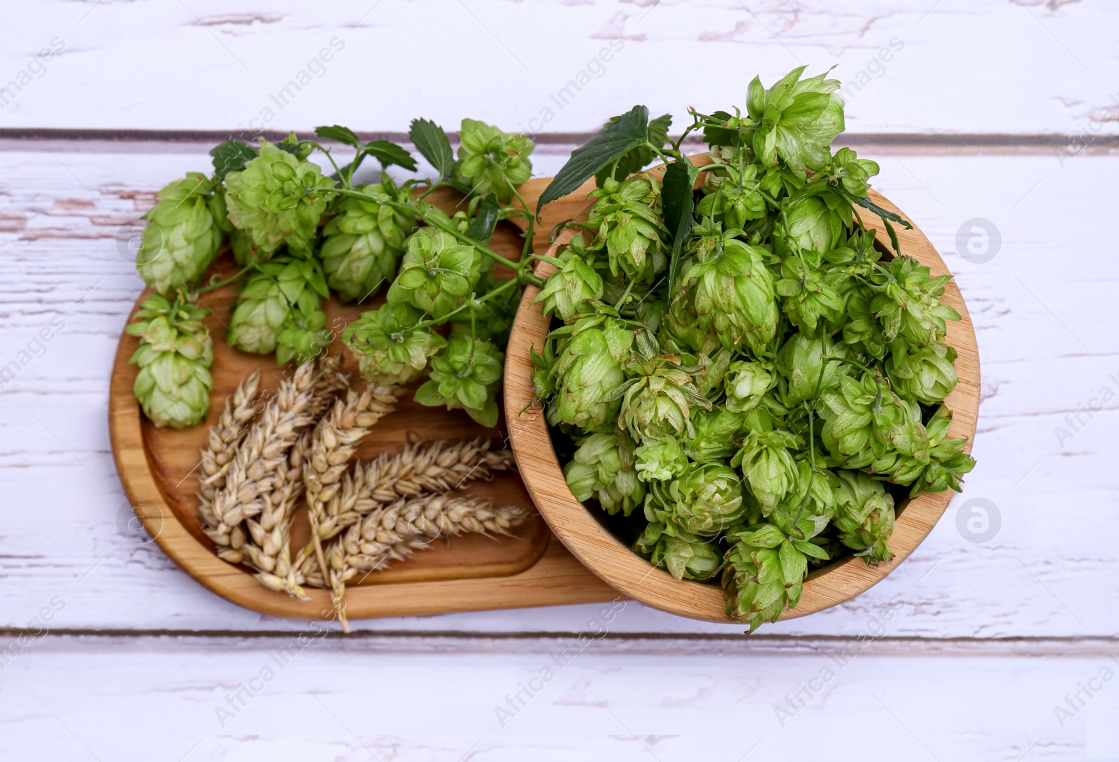 Photo of Fresh green hops and ears of wheat on white wooden table, top view