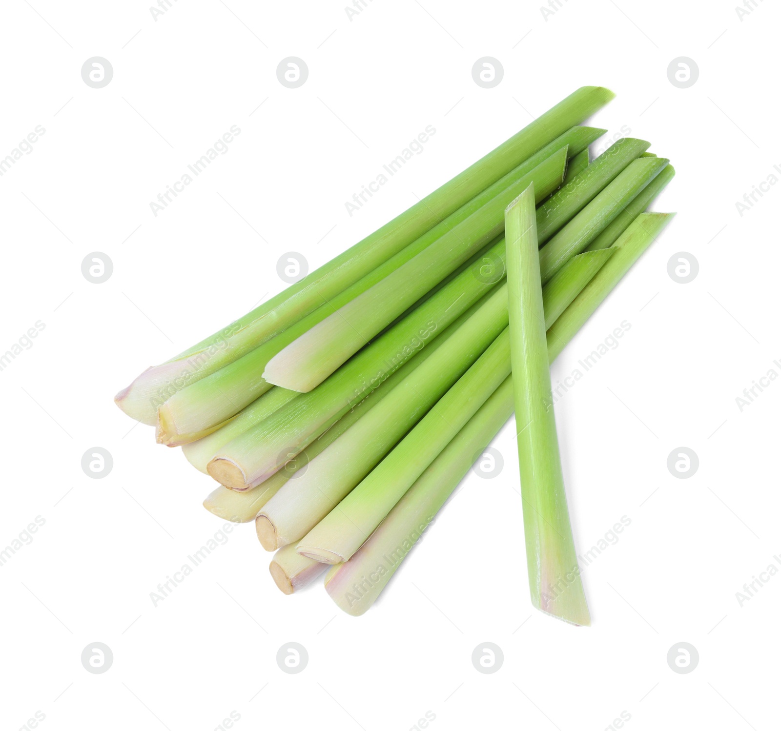 Photo of Bunch of fresh lemongrass on white background, top view