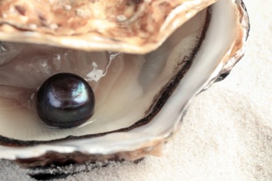 Photo of Open oyster with black pearl on sand, closeup