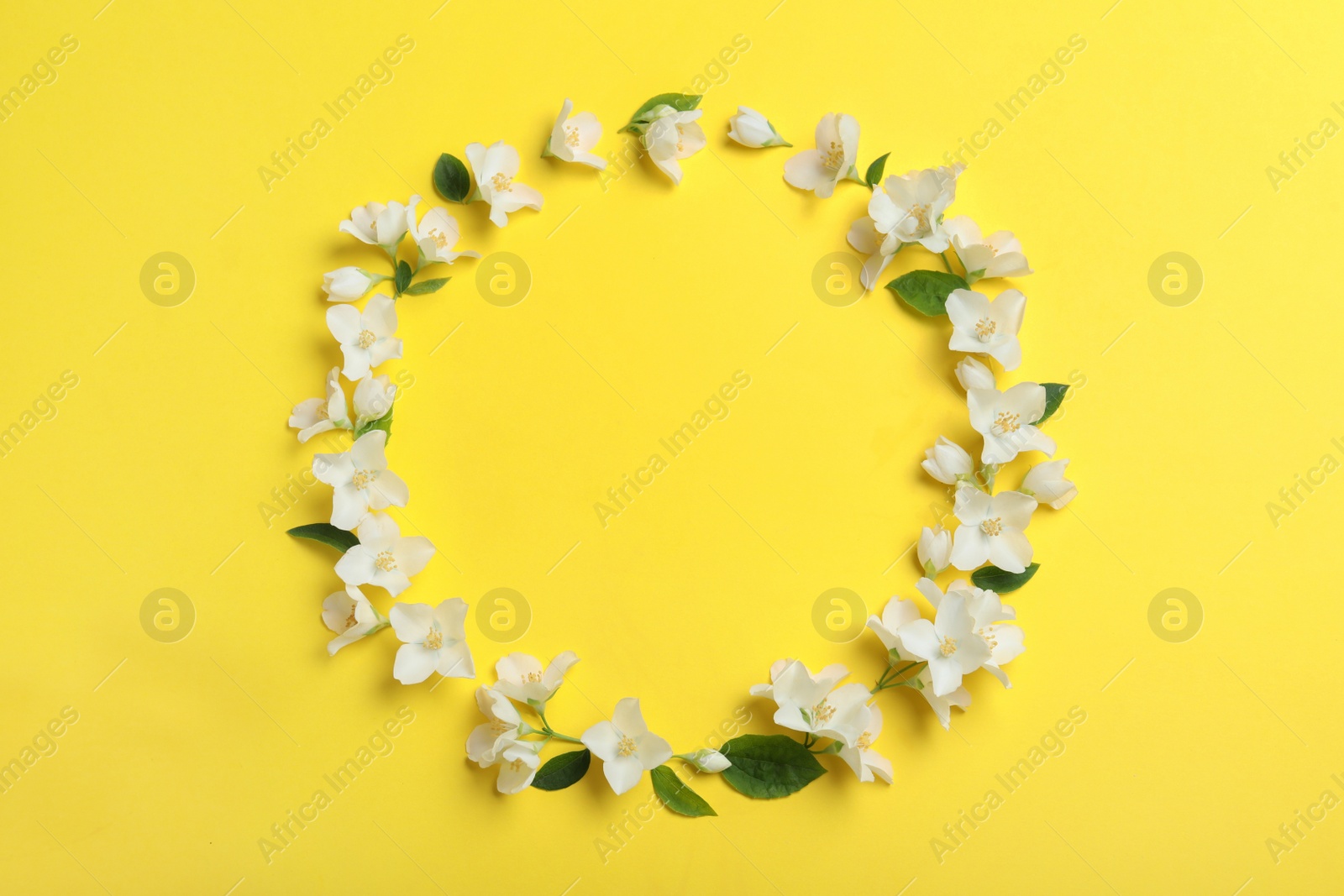 Photo of Frame of beautiful jasmine flowers on yellow background, flat lay. Space for text