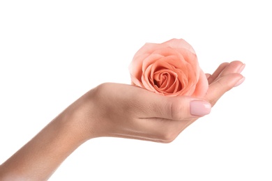 Woman holding rose on white background, closeup. Spa treatment