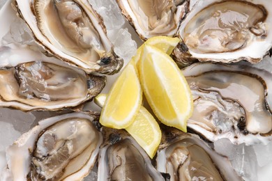 Photo of Delicious fresh oysters with lemon slices on ice, closeup