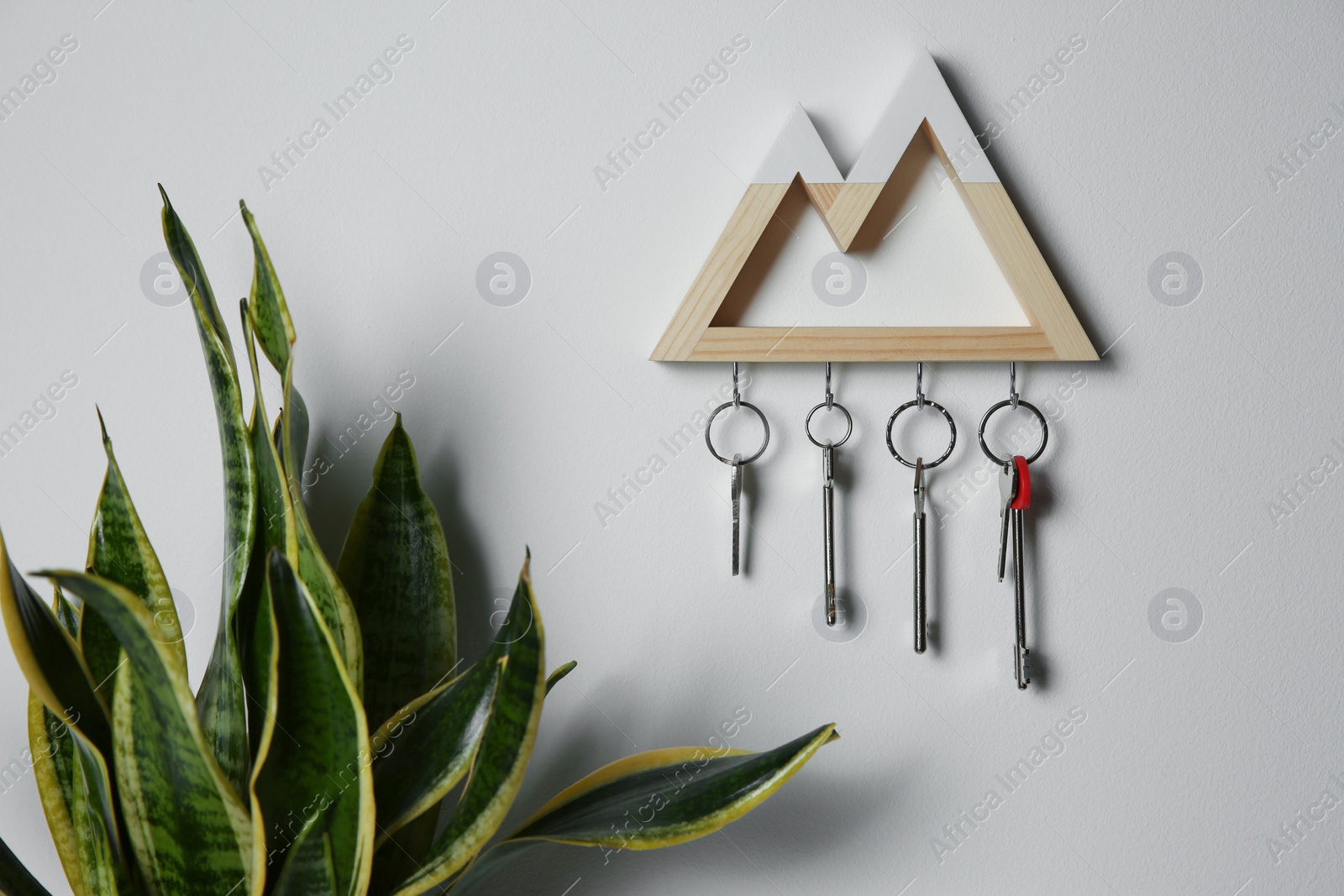 Photo of Wooden key holder on light wall indoors