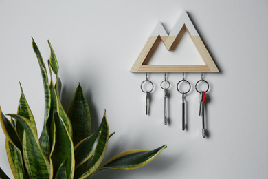 Photo of Wooden key holder on light wall indoors